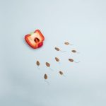 Eiaculare spesso riduce il rischio di cancro alla prostata?